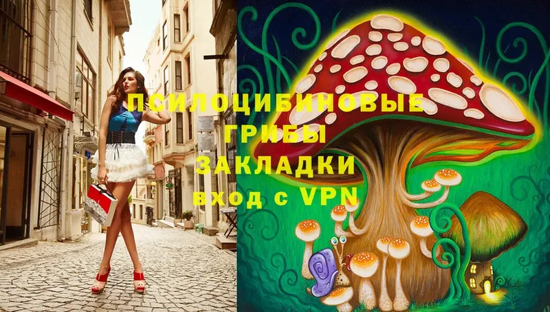 купить наркотик  Лиски  Галлюциногенные грибы MAGIC MUSHROOMS 